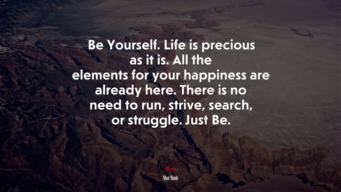 Be Yourself. Life is precious as it is. All the elements for your happiness are already here. There is no need to run, strive, search, or struggle. Just Be. | Nhat Hanh quote