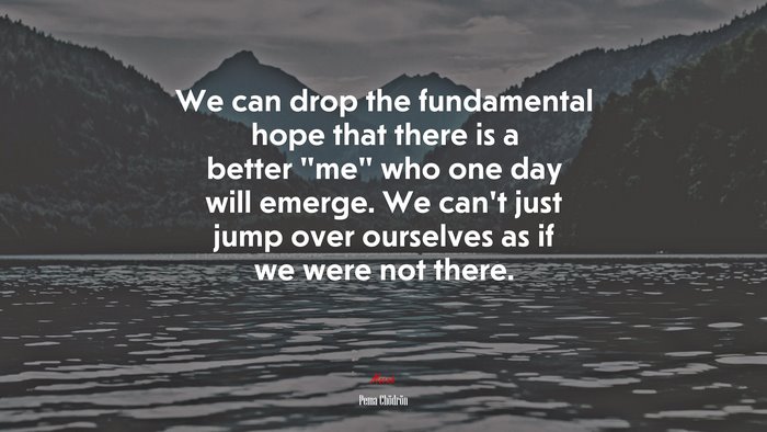 We can drop the fundamental hope that there is a better “me” who one day will emerge. We can’t just jump over ourselves as if we were not there. | Pema Chödrön quote