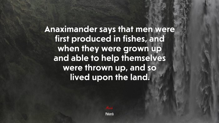 Anaximander says that men were first produced in fishes, and when they were grown up and able to help themselves were thrown up, and so lived upon the land. | Plutarch quote