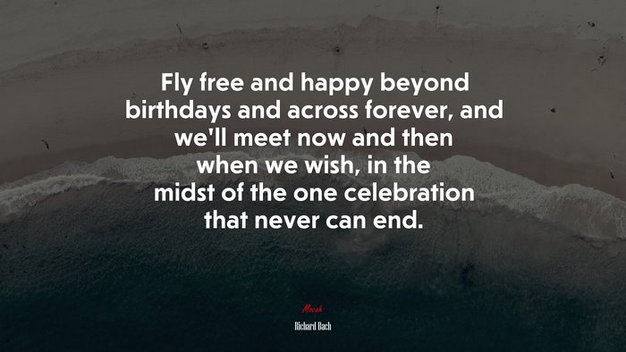 Fly free and happy beyond birthdays and across forever, and we’ll meet now and then when we wish, in the midst of the one celebration that never can end. | Richard Bach quote