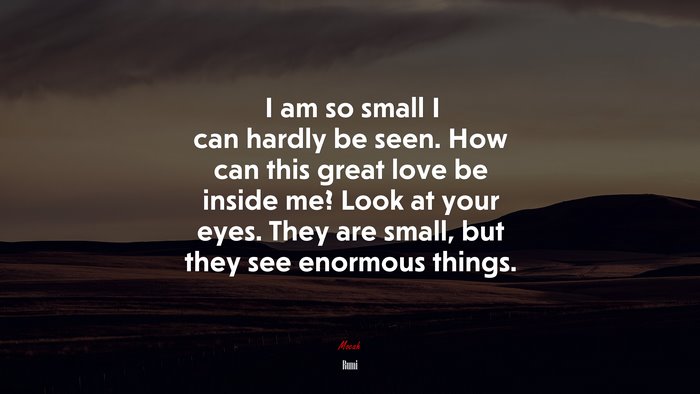 I am so small I can hardly be seen. How can this great love be inside me? Look at your eyes. They are small, but they see enormous things. | Rumi quote