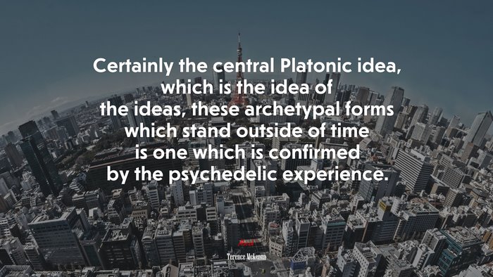 Certainly the central Platonic idea, which is the idea of the ideas, these archetypal forms which stand outside of time is one which is confirmed by the psychedelic experience. | Terence McKenna quote