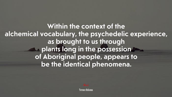 Within the context of the alchemical vocabulary, the psychedelic experience, as brought to us through plants long in the possession of Aboriginal people, appears to be the identical phenomena. | Terence McKenna quote