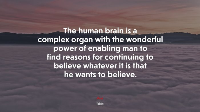 The human brain is a complex organ with the wonderful power of enabling man to find reasons for continuing to believe whatever it is that he wants to believe. | Voltaire quote