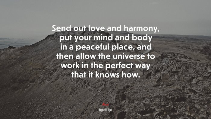 Send out love and harmony, put your mind and body in a peaceful place, and then allow the universe to work in the perfect way that it knows how. | Wayne W. Dyer quote