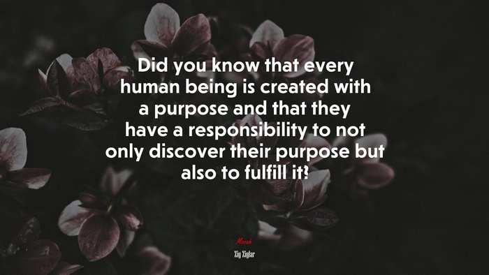 Did you know that every human being is created with a purpose and that they have a responsibility to not only discover their purpose but also to fulfill it? | Zig Ziglar quote
