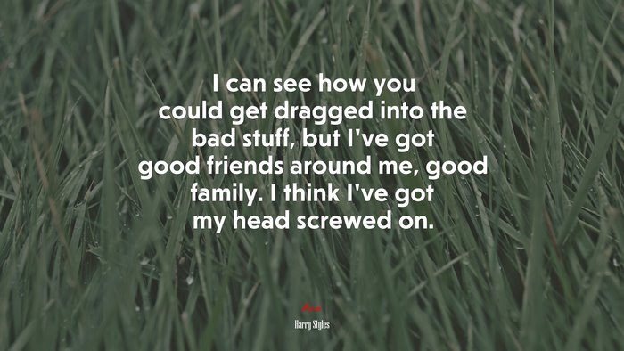 I can see how you could get dragged into the bad stuff, but I’ve got good friends around me, good family. I think I’ve got my head screwed on. | Harry Styles quote