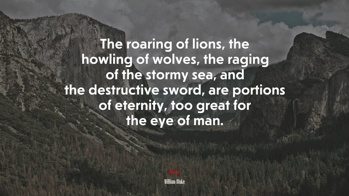 The roaring of lions, the howling of wolves, the raging of the stormy sea, and the destructive sword, are portions of eternity, too great for the eye of man. | William Blake quote
