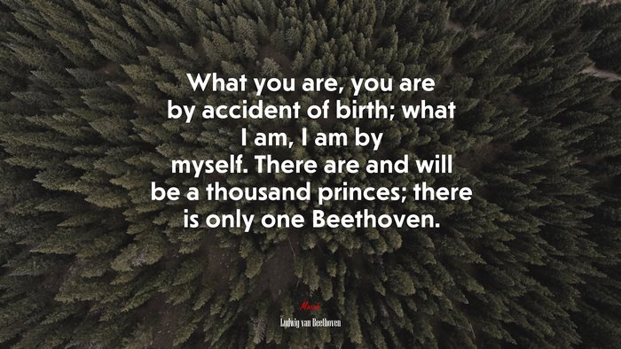 What you are, you are by accident of birth; what I am, I am by myself. There are and will be a thousand princes; there is only one Beethoven. | Ludwig van Beethoven quote