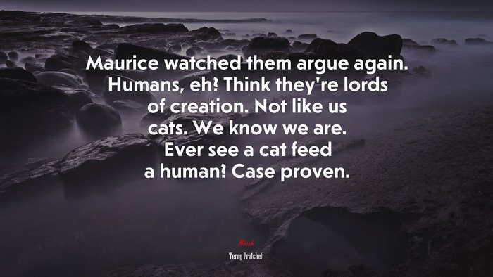 Maurice watched them argue again. Humans, eh? Think they’re lords of creation. Not like us cats. We know we are. Ever see a cat feed a human? Case proven. | Terry Pratchett quote