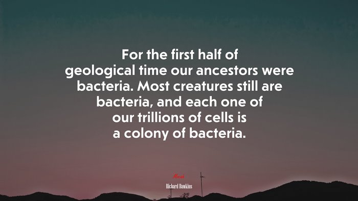 For the first half of geological time our ancestors were bacteria. Most creatures still are bacteria, and each one of our trillions of cells is a colony of bacteria. | Richard Dawkins quote
