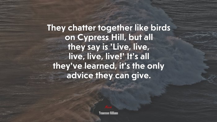 They chatter together like birds on Cypress Hill, but all they say is ‘Live, live, live, live, live!’ It’s all they’ve learned, it’s the only advice they can give. | Tennessee Williams quote