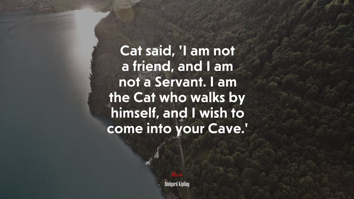 Cat said, ‘I am not a friend, and I am not a Servant. I am the Cat who walks by himself, and I wish to come into your Cave.’ | Rudyard Kipling quote