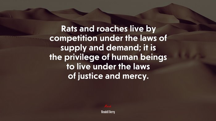 Rats and roaches live by competition under the laws of supply and demand; it is the privilege of human beings to live under the laws of justice and mercy. | Wendell Berry quote