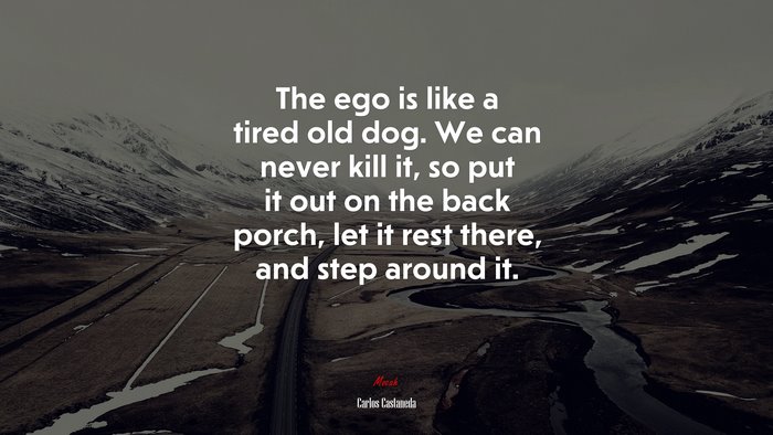 The ego is like a tired old dog. We can never kill it, so put it out on the back porch, let it rest there, and step around it. | Carlos Castaneda quote