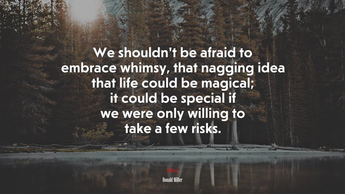 We shouldn’t be afraid to embrace whimsy, that nagging idea that life could be magical; it could be special if we were only willing to take a few risks. | Donald Miller quote