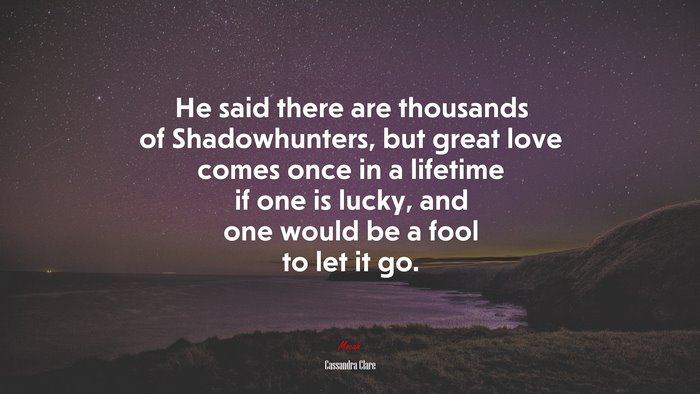 He said there are thousands of Shadowhunters, but great love comes once in a lifetime if one is lucky, and one would be a fool to let it go. | Cassandra Clare quote