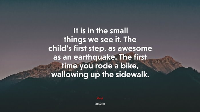 It is in the small things we see it. The child’s first step, as awesome as an earthquake. The first time you rode a bike, wallowing up the sidewalk. | Anne Sexton quote