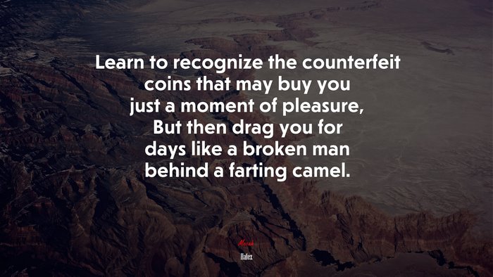 Learn to recognize the counterfeit coins that may buy you just a moment of pleasure, But then drag you for days like a broken man behind a farting camel. | Hafez quote