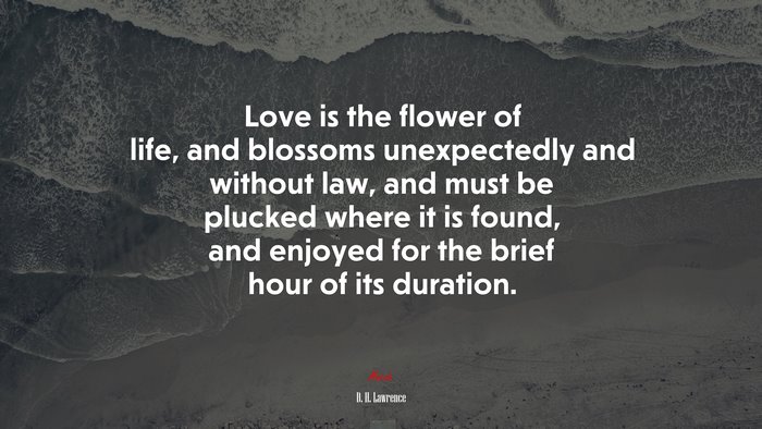 Love is the flower of life, and blossoms unexpectedly and without law, and must be plucked where it is found, and enjoyed for the brief hour of its duration. | D. H. Lawrence quote
