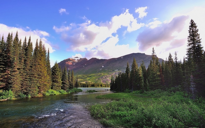 River flowing through a forest with mountains in the background