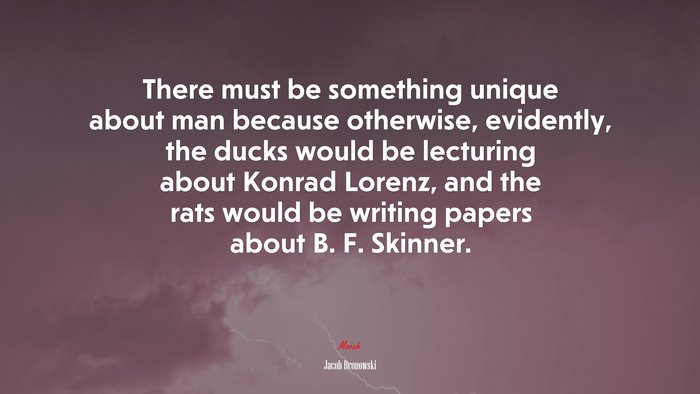 There must be something unique about man because otherwise, evidently, the ducks would be lecturing about Konrad Lorenz, and the rats would be writing papers about B. F. Skinner. | Jacob Bronowski quote
