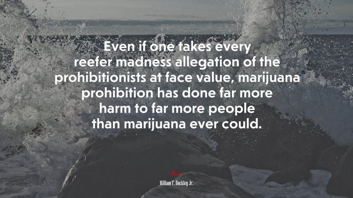 Even if one takes every reefer madness allegation of the prohibitionists at face value, marijuana prohibition has done far more harm to far more people than marijuana ever could. | William F. Buckley Jr. quote