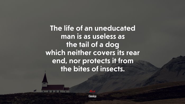 The life of an uneducated man is as useless as the tail of a dog which neither covers its rear end, nor protects it from the bites of insects. | Chanakya quote