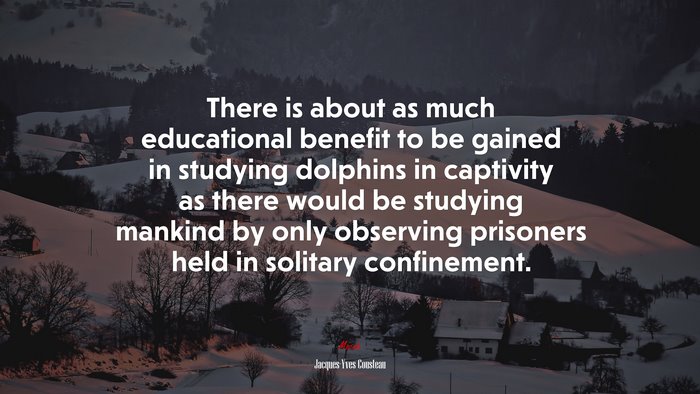 There is about as much educational benefit to be gained in studying dolphins in captivity as there would be studying mankind by only observing prisoners held in solitary confinement. | Jacques-Yves Cousteau quote