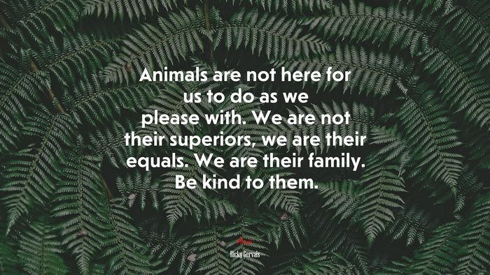 Animals are not here for us to do as we please with. We are not their superiors, we are their equals. We are their family. Be kind to them. | Ricky Gervais quote
