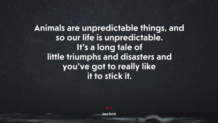 Animals are unpredictable things, and so our life is unpredictable. It’s a long tale of little triumphs and disasters and you’ve got to really like it to stick it. | James Herriot quote