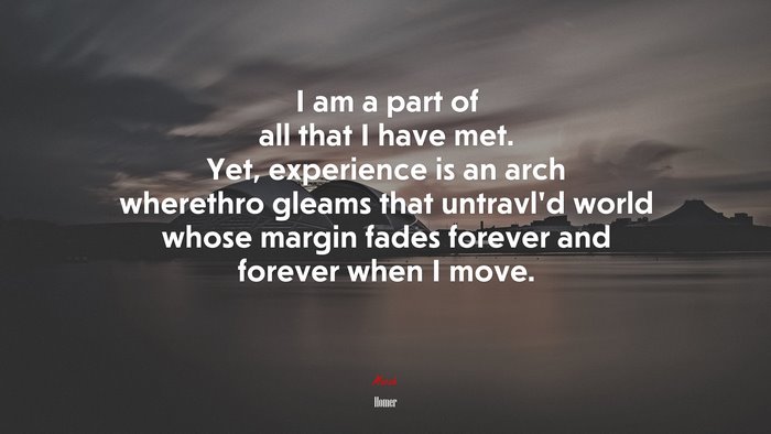 I am a part of all that I have met. Yet, experience is an arch wherethro gleams that untravl’d world whose margin fades forever and forever when I move. | Homer quote