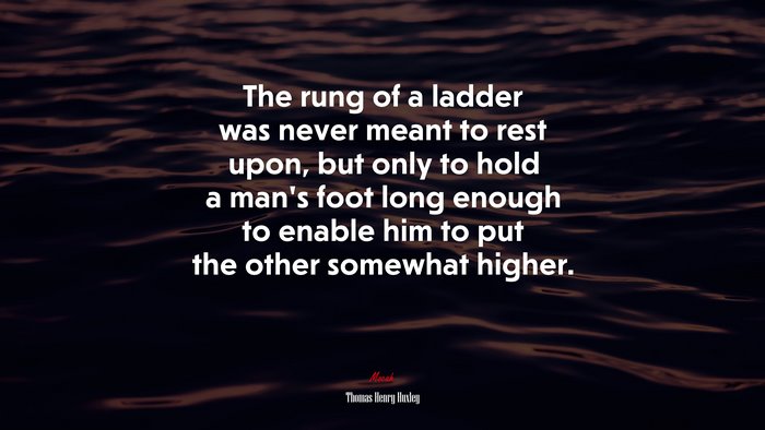 The rung of a ladder was never meant to rest upon, but only to hold a man’s foot long enough to enable him to put the other somewhat higher. | Thomas Henry Huxley quote