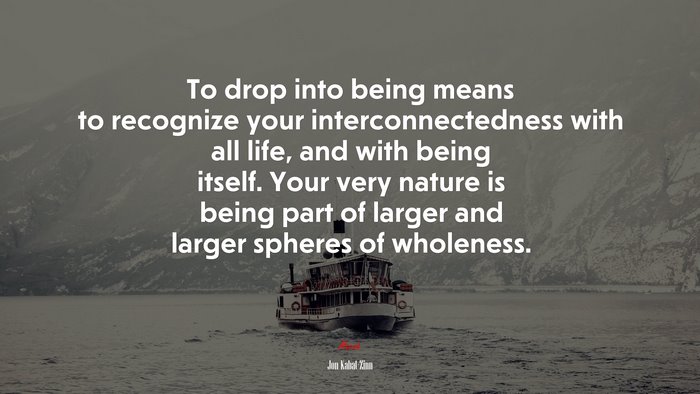 To drop into being means to recognize your interconnectedness with all life, and with being itself. Your very nature is being part of larger and larger spheres of wholeness. | Jon Kabat-Zinn quote