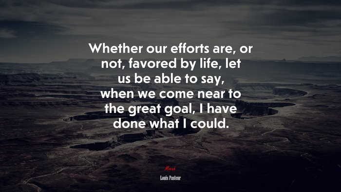 Whether our efforts are, or not, favored by life, let us be able to say, when we come near to the great goal, I have done what I could. | Louis Pasteur quote