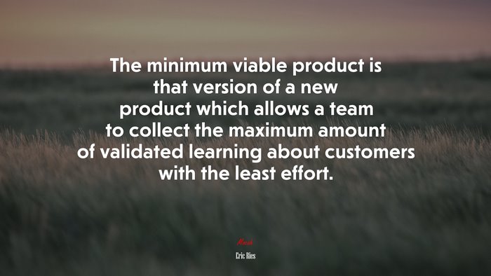 The minimum viable product is that version of a new product which allows a team to collect the maximum amount of validated learning about customers with the least effort. | Eric Ries quote