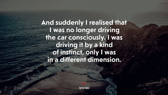 And suddenly I realised that I was no longer driving the car consciously. I was driving it by a kind of instinct, only I was in a different dimension. | Ayrton Senna quote