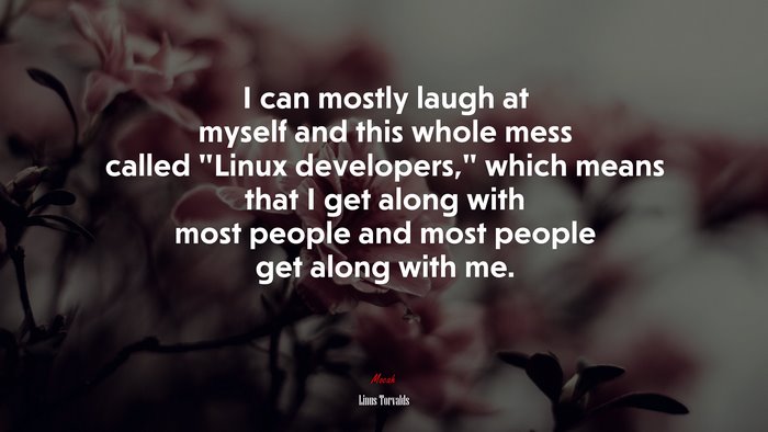 I can mostly laugh at myself and this whole mess called “Linux developers,” which means that I get along with most people and most people get along with me. | Linus Torvalds quote