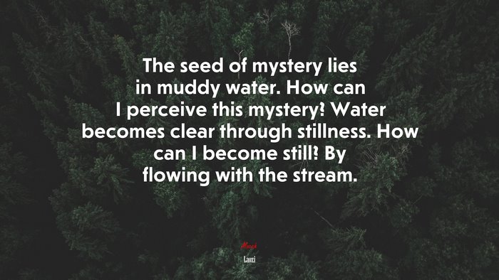 The seed of mystery lies in muddy water. How can I perceive this mystery? Water becomes clear through stillness. How can I become still? By flowing with the stream. | Laozi quote