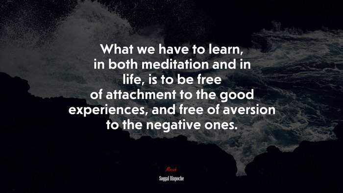 What we have to learn, in both meditation and in life, is to be free of attachment to the good experiences, and free of aversion to the negative ones. | Sogyal Rinpoche quote