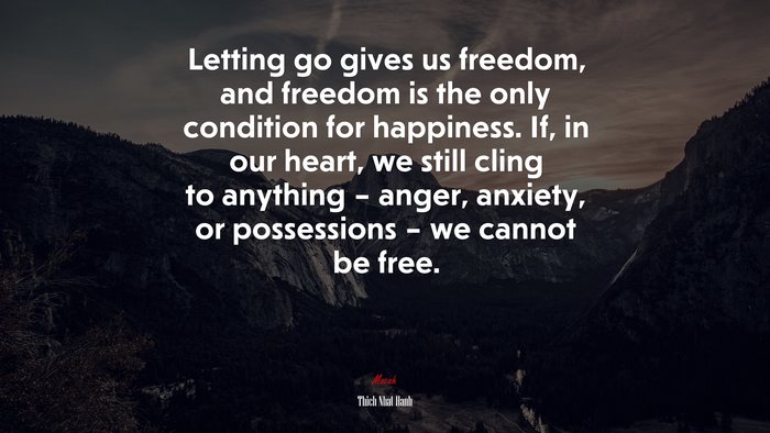 Letting go gives us freedom, and freedom is the only condition for happiness. If, in our heart, we still cling to anything – anger, anxiety, or possessions – we cannot be free. | Thich Nhat Hanh quote