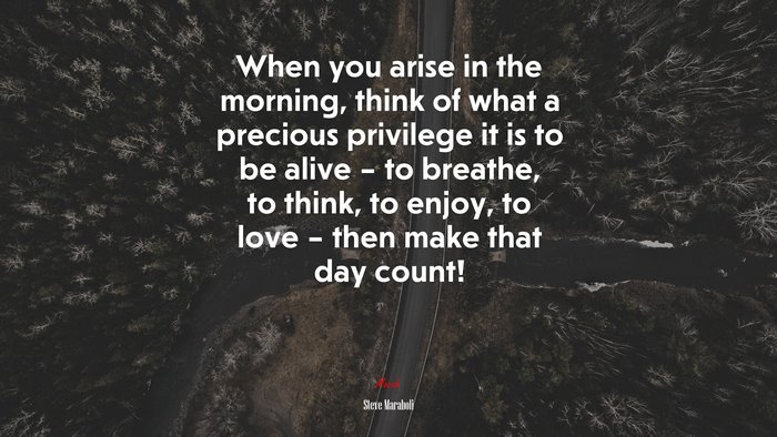 When you arise in the morning, think of what a precious privilege it is to be alive – to breathe, to think, to enjoy, to love – then make that day count! | Steve Maraboli quote