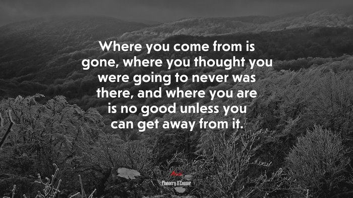 Where you come from is gone, where you thought you were going to never was there, and where you are is no good unless you can get away from it. | Flannery OConnor quote