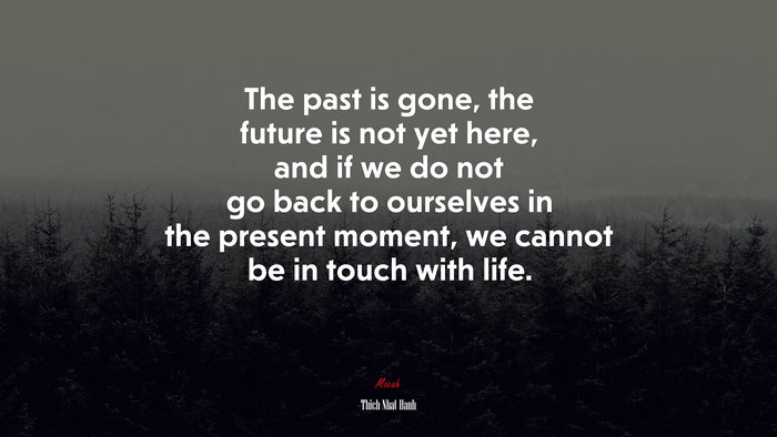 The past is gone, the future is not yet here, and if we do not go back to ourselves in the present moment, we cannot be in touch with life. | Thich Nhat Hanh quote