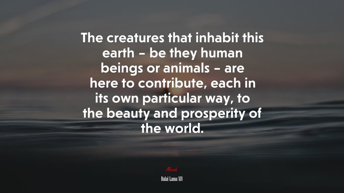 The creatures that inhabit this earth – be they human beings or animals – are here to contribute, each in its own particular way, to the beauty and prosperity of the world. | Dalai Lama XIV quote