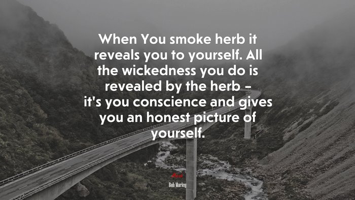 When You smoke herb it reveals you to yourself. All the wickedness you do is revealed by the herb – it’s you conscience and gives you an honest picture of yourself. | Bob Marley quote
