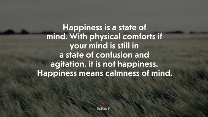 Happiness is a state of mind. With physical comforts if your mind is still in a state of confusion and agitation, it is not happiness. Happiness means calmness of mind. | Dalai Lama XIV quote
