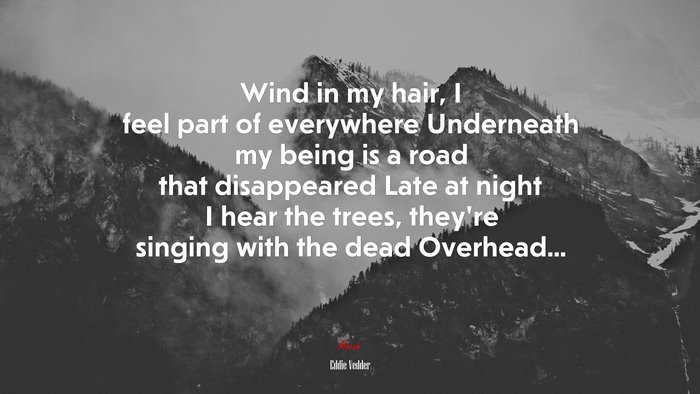 Wind in my hair, I feel part of everywhere Underneath my being is a road that disappeared Late at night I hear the trees, they’re singing with the dead Overhead... | Eddie Vedder quote