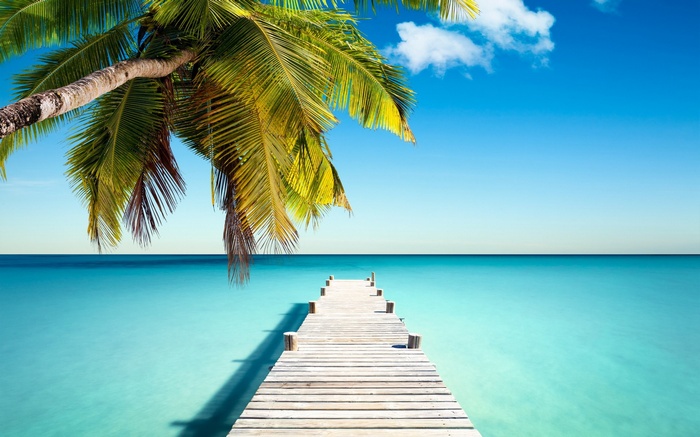 Wooden pier extending into turquoise ocean under palm tree