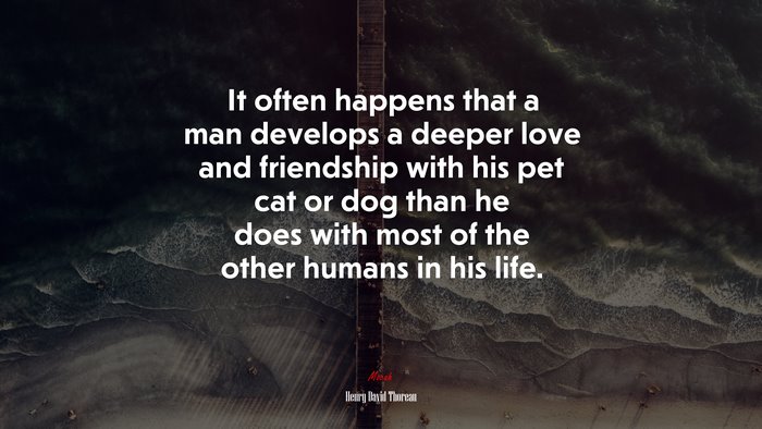 It often happens that a man develops a deeper love and friendship with his pet cat or dog than he does with most of the other humans in his life. | Henry David Thoreau quote